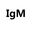 IgM IgM