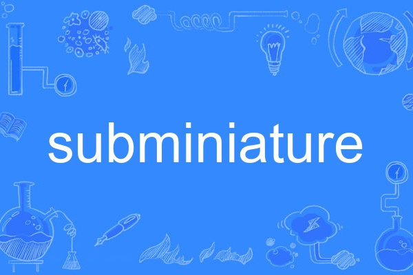 subminiature subminiature