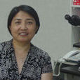 高子芬 高子芬