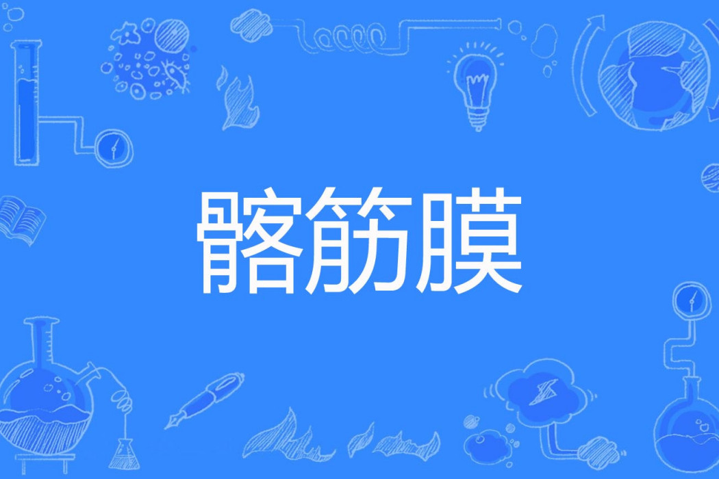 髂筋膜 髂筋膜