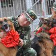 功勳犬