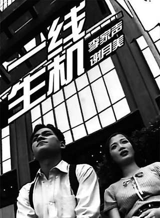 陳少霞 陳少霞