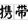 攜帶 攜帶