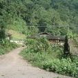 南沙河村(雲南省西雙版納勐臘縣勐臘鎮下轄村) 南沙河村(雲南省西雙版納勐臘縣勐臘鎮下轄村)