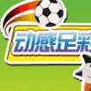 單場足球彩票(單場彩)