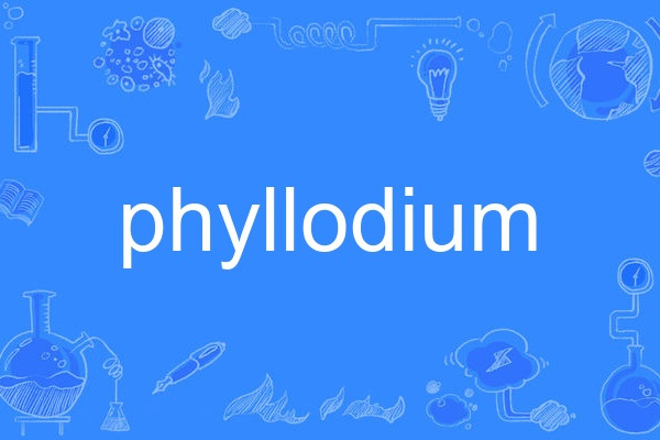 phyllodium phyllodium