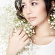 劉德麗 劉德麗