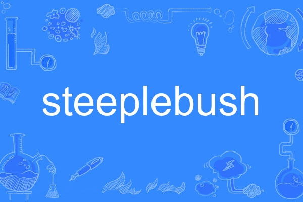 steeplebush