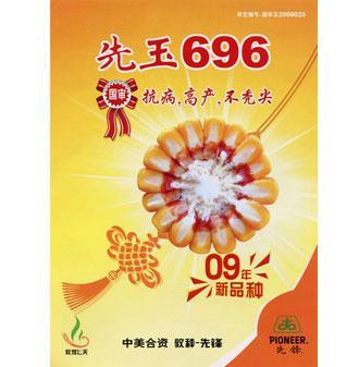 先玉 696(先玉696(蒙認玉2011026號)) 先玉 696(先玉696(蒙認玉2011026號))