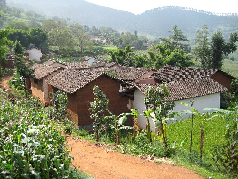 子家村 子家村