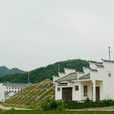 維新鎮(重慶市銅梁區維新鎮)