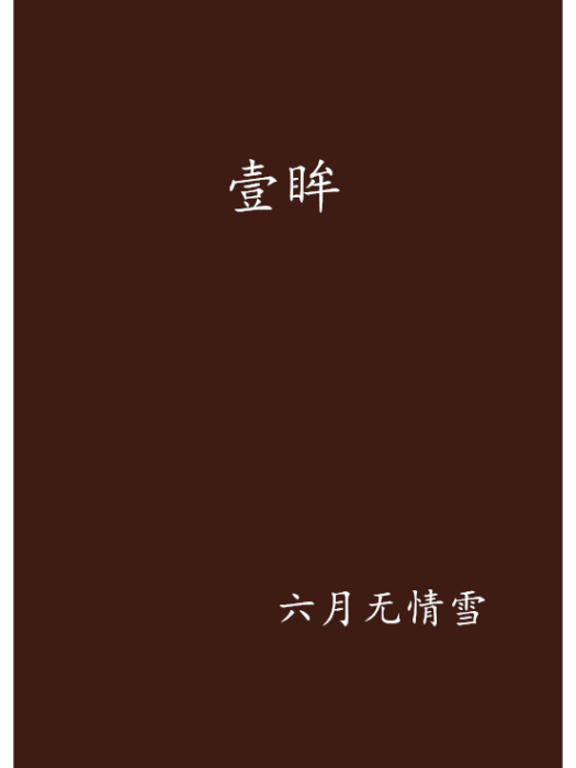 壹眸