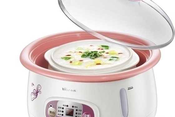 小熊DDZ-125TA 小熊DDZ-125TA
