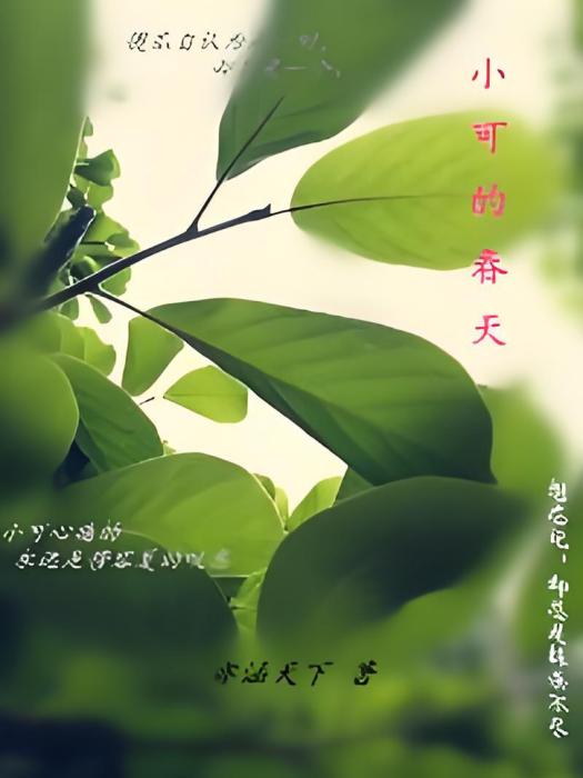 小可的春天 小可的春天