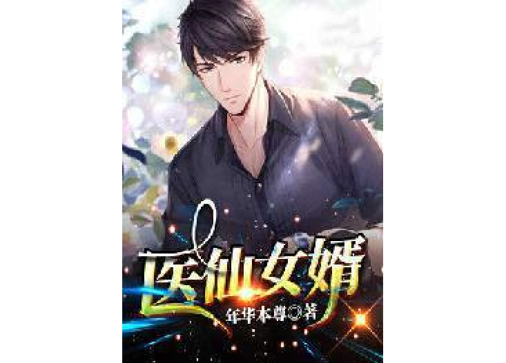 醫仙女婿 醫仙女婿
