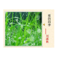 雨的四季 雨的四季