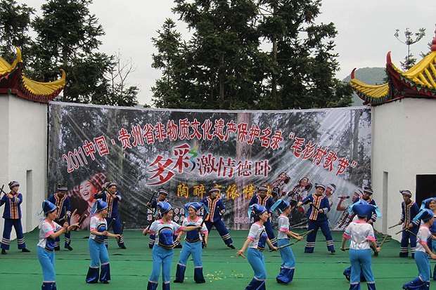 毛杉樹節 毛杉樹節