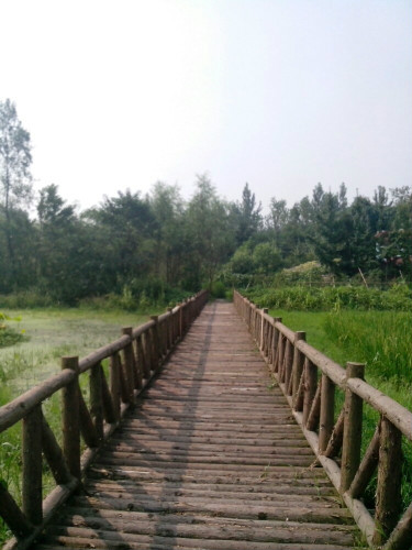 郫縣雲橋濕地公園