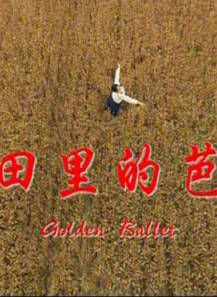 陳曼媛 陳曼媛
