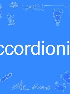 accordionist accordionist
