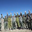 邊防軍 邊防軍