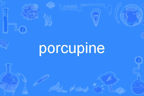 porcupine porcupine