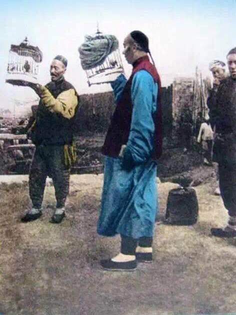 陳鐘芳(清朝官員同進士出身) 陳鐘芳(清朝官員同進士出身)
