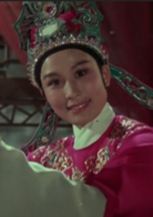 五女拜壽(1984年陸建華、於中效執導戲曲片) 五女拜壽(1984年陸建華、於中效執導戲曲片)