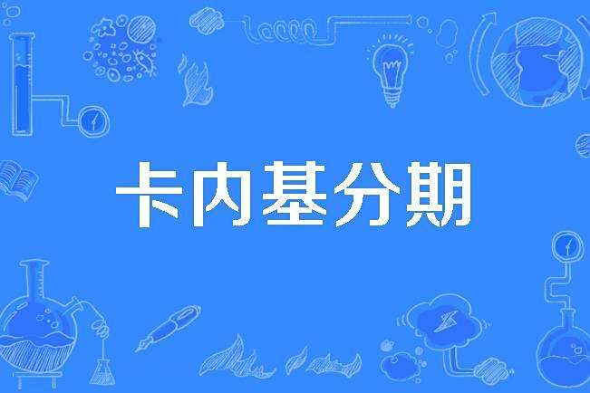 卡內基分期 卡內基分期
