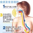 食道語 食道語