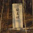 公主墳(北京安定門外雷橋村公主墳) 公主墳(北京安定門外雷橋村公主墳)