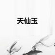 天仙玉 天仙玉