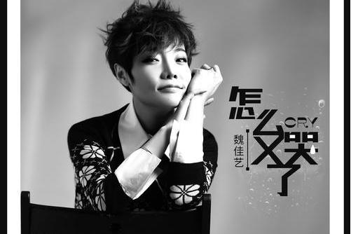 怎么又哭了(魏佳藝演唱歌曲) 怎么又哭了(魏佳藝演唱歌曲)