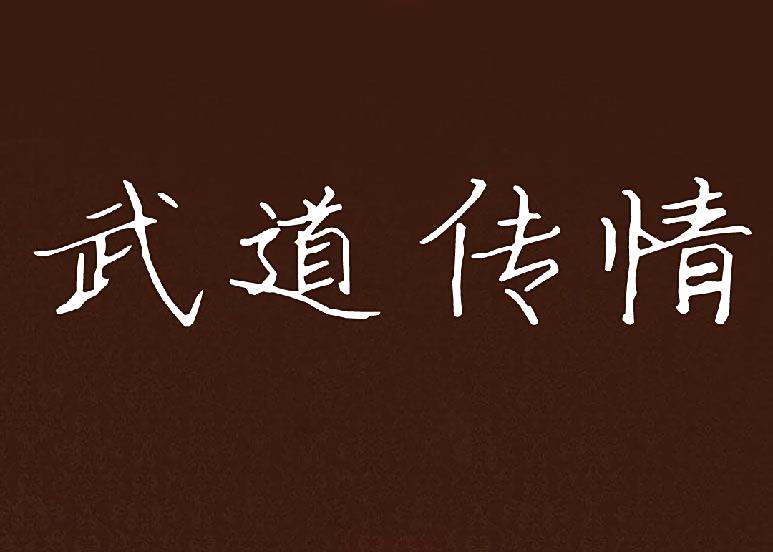 武道傳情 武道傳情