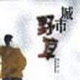 城市野草 城市野草