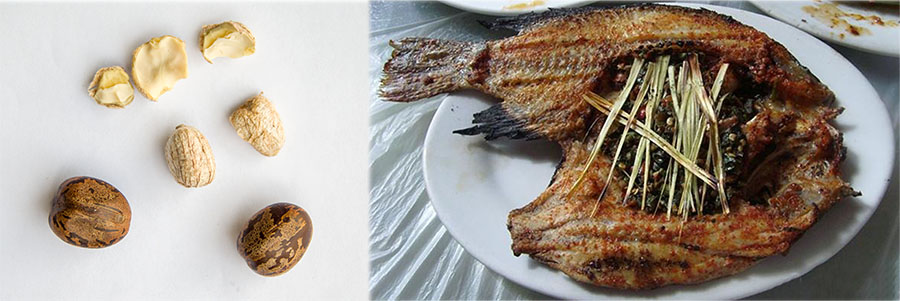 西雙版納美食：橡膠樹種仁醬製作的烤魚