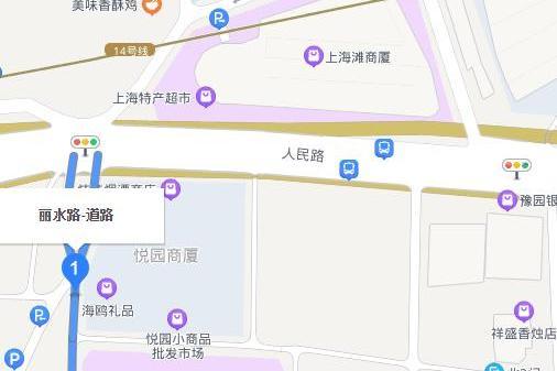 麗水路(上海市麗水路)