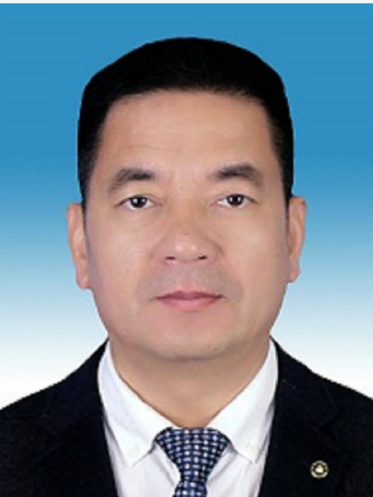 張力(廣西玉林市委教育工委委員) 張力(廣西玉林市委教育工委委員)