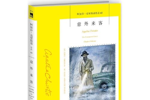 意外來客(2018年新星出版社出版的圖書) 意外來客(2018年新星出版社出版的圖書)