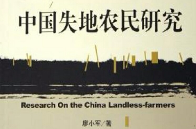 中國失地農民研究