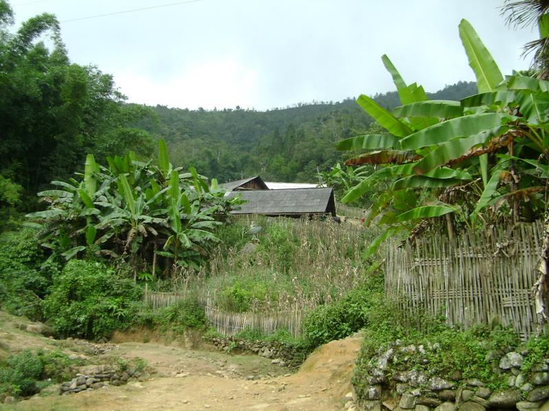 雞窩寨村
