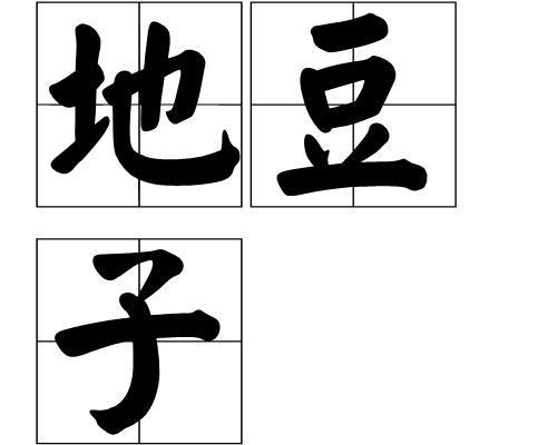 地豆子 地豆子