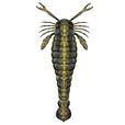 海蠍(古生物) 海蠍(古生物)