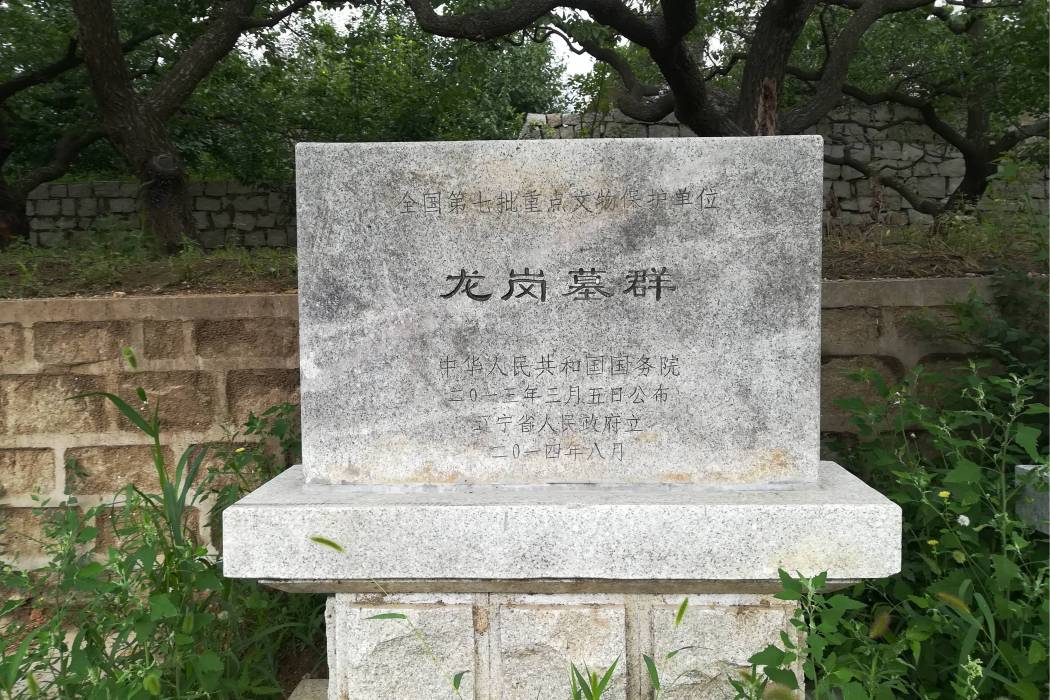 龍崗墓群 龍崗墓群