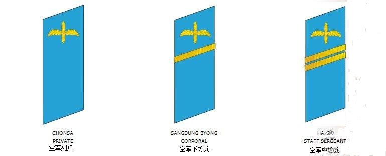 朝鮮人民軍士兵空軍領章