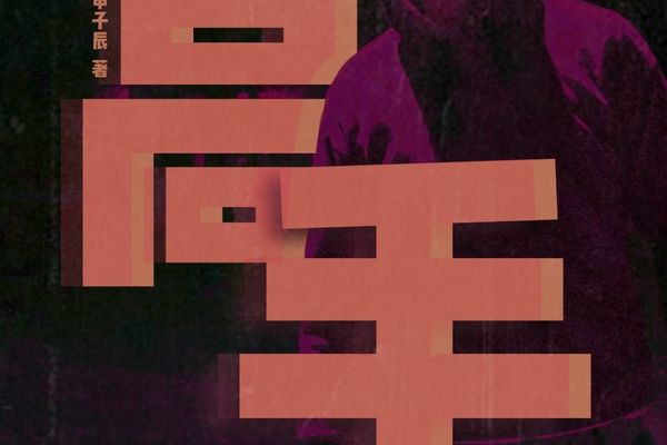 高手(豆瓣閱讀作者申子辰所作懸疑小說) 高手(豆瓣閱讀作者申子辰所作懸疑小說)