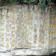 野拂藏寶 野拂藏寶