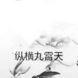 縱橫九霄天 縱橫九霄天