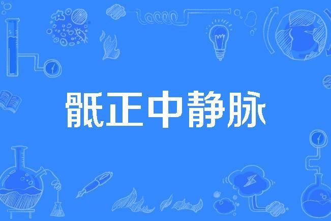 骶正中靜脈 骶正中靜脈