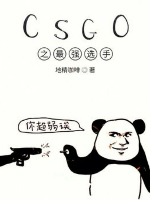 CSGO之最強選手 CSGO之最強選手